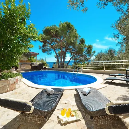 Marin Trogir