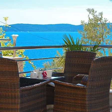 Marin Trogir